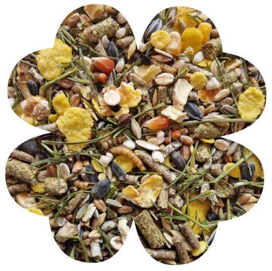 7a1fc19a49b88eb2eea40f90d5869bd1