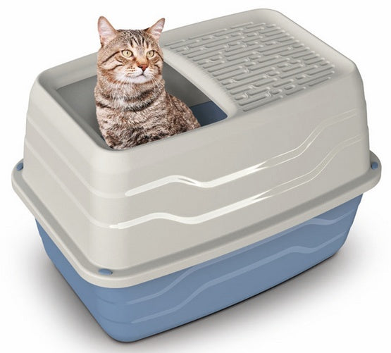 54cca506fac1221871ba760b9ac27720