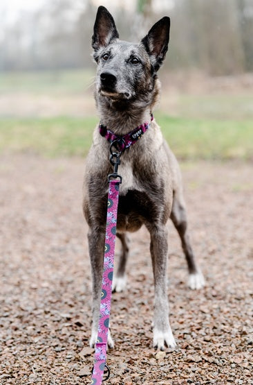 666984734f74e95df073b3718b04c68e