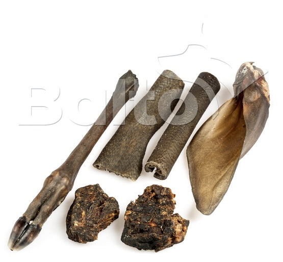 dce88e847aed1809d39313dbcfd12f29