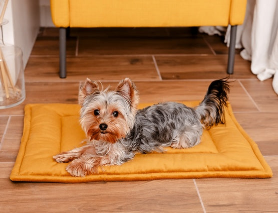 c57763430422a460406a6d551e4f6ec2