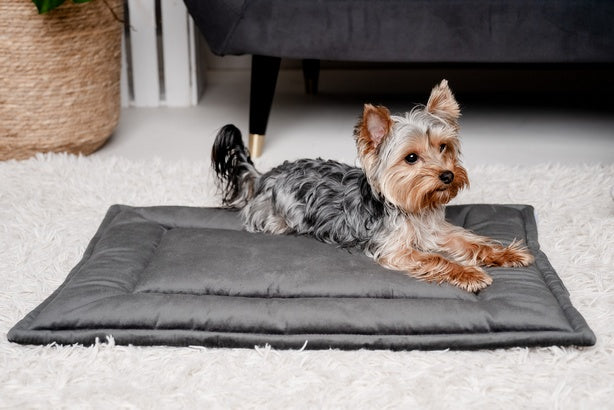 849e152f20f8dca5083e3e6f5cc9f2e5