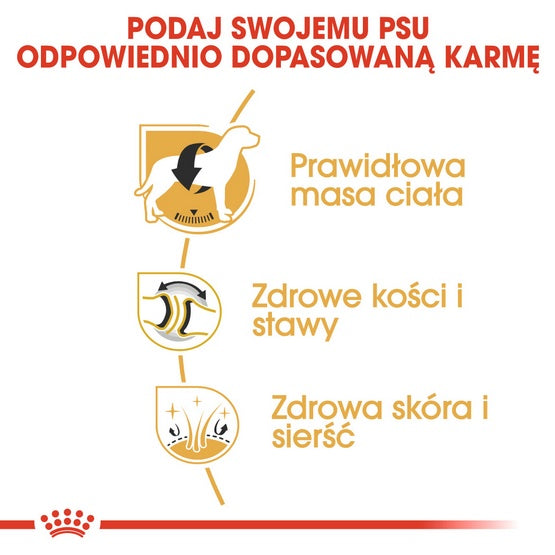 22e519d76087a86a2519896806d2b328