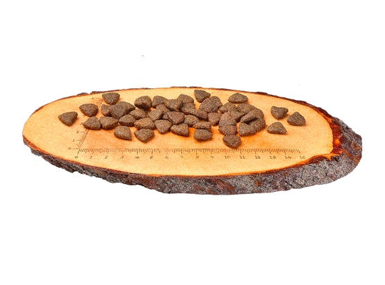 ab257472398af240f7826d543ea95218