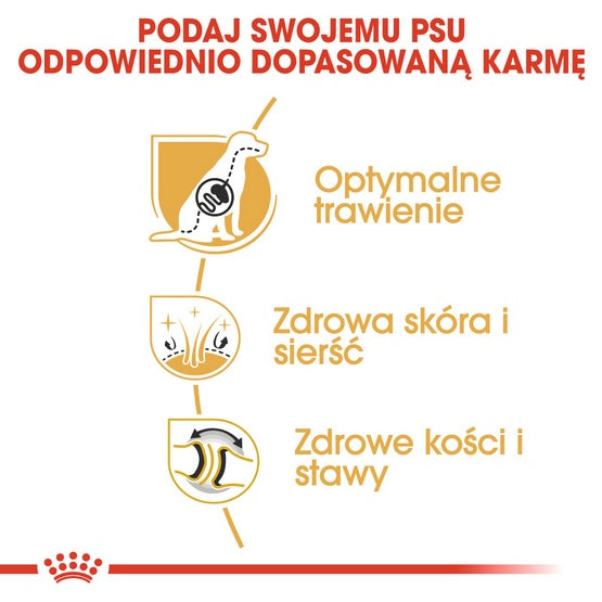 c939585af68a77c0d4a842fbbe611ba8