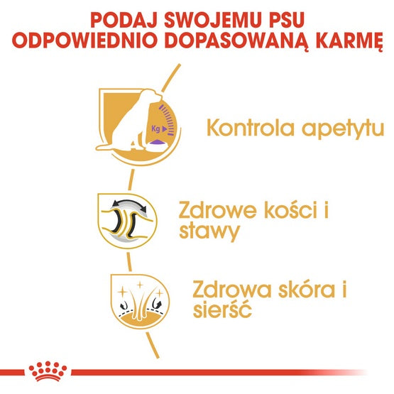 63afa4df4bef4e4b78cfc23931a0c742