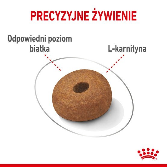 6c0e38c32f790738ba01c11d5d2a3ac5