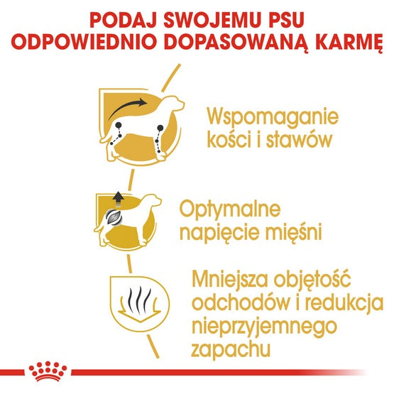 ca72645735567bbcb756e87239f2c8d5