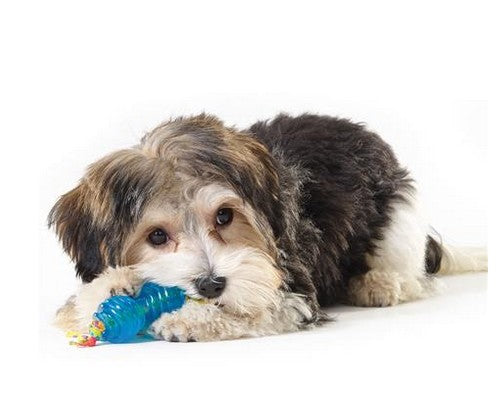 f396e58ac48a37894fec4af67c35634d