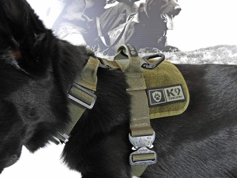 Szelki Delta (K9Thron) – idealne dopasowanie do każdego psa