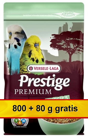 21651b876a3cc055333422de428637a7