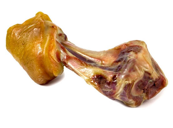 7b6c13b0b4ed3c7ed26d50b44277bf4b