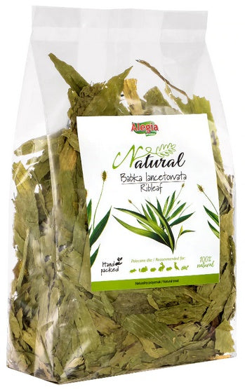 2ae89858ea30fab6c41b0ba08c3ca39c