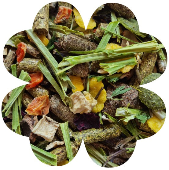 45b2a63e2fb7fe503ee699c829b5c178