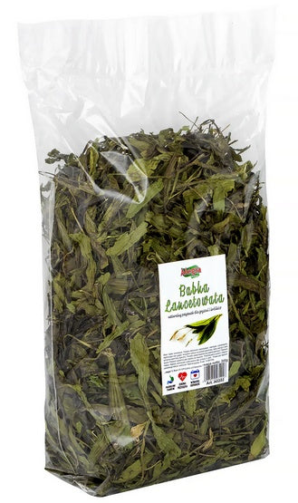 972416bfa3acae572cd31cb5497c1717