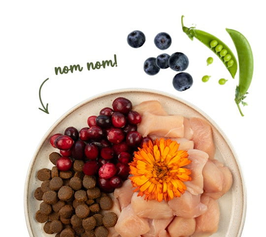 41b18a620a41bf1d8ebf3de0d1beab37