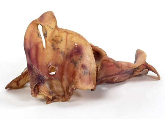 3b4f721379bee6f4bd31f0202f1ee10d