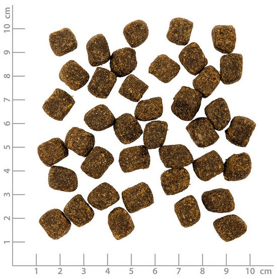 ecf0fbf6316115ce6074f0b3b53c8c31