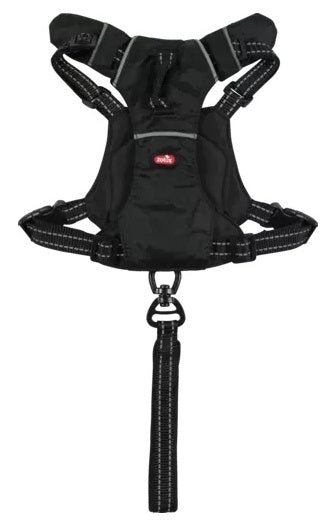 d56a6cfc05afa18399c206ad55989404