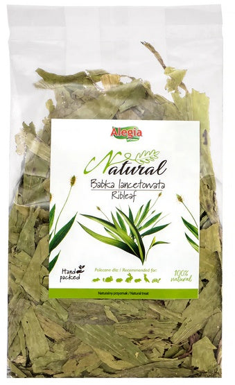 1f697ac941458ccea681b1e012230d55