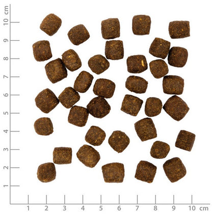 ab761af031b08a74b2f4107cc87ad176