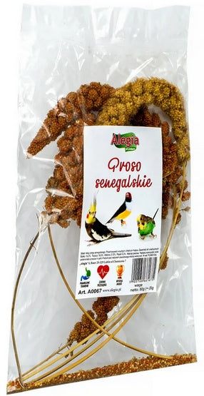 824a40f8ce06ea910bfa8b062365cec8