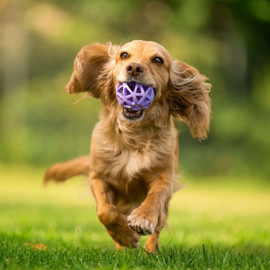 565fe1b8e0a54605b65b0694d48583a2