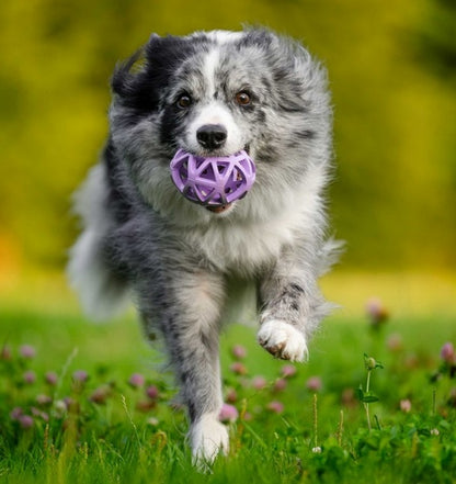 27b1c316e2c614f24b3cdd3fdb808554