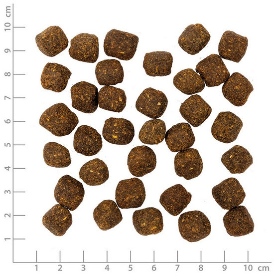 9e9fed5a861af7d800c7d7255f2b996c