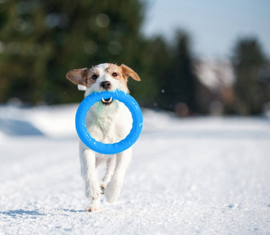 a72086b9748ccb198ad8c10fcc575a7c