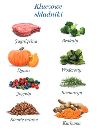 701062ebd225564643945f362dae36c5