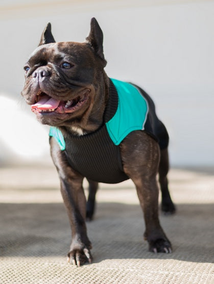 d7e7ba58c96b7674a32b10906002f7b2