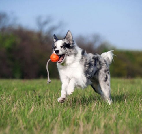 e5a09e1d558317a0b8e5fa0ba285d981