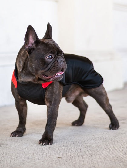 a68240c2372465ce211bc0f8520d600d