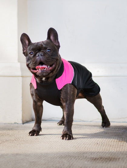 4d45d83cedf87b93f0a6114b43e61e06