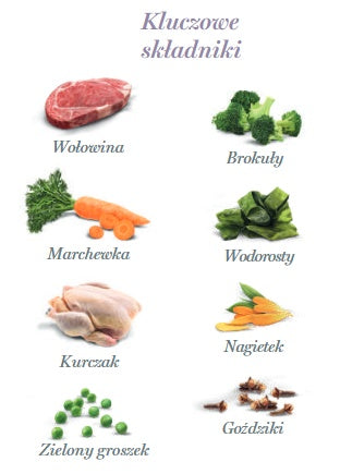 b62b65b4e46c62dd431a332865e7e23c