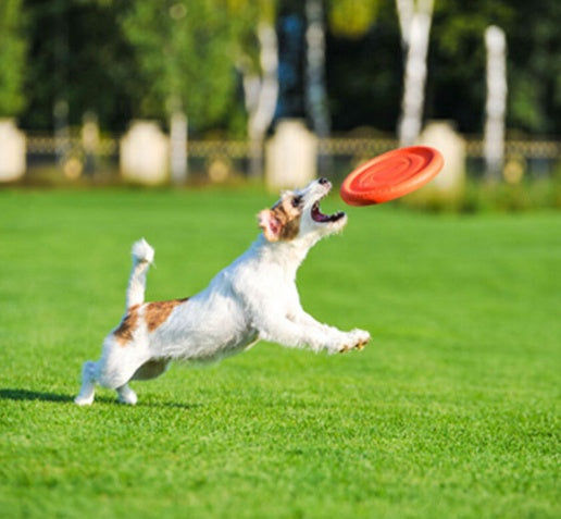 b76d0d83bf2e6cc758f503d5619445e8