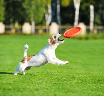 b76d0d83bf2e6cc758f503d5619445e8