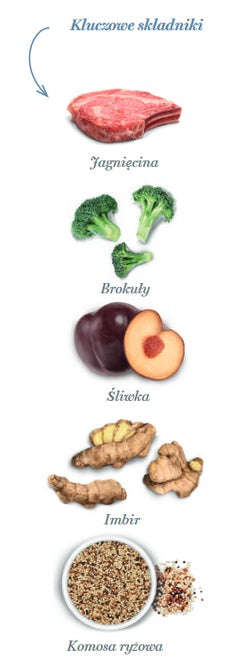 ad713aaa3127f567e2c6e4bfe19c3dc3