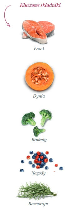 aceb4f4305c86790057f36f24850a171