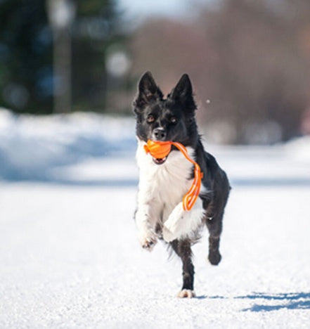 84c07d4276dcbb72f1daa3790ef4a08e