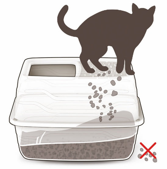 fe04d5ef86880f4f5cb87b76badf583a