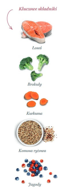 cf5624a7f22148cca9318a13847db411