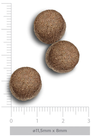 301db3193f8d720ae84885d14d19f0a7