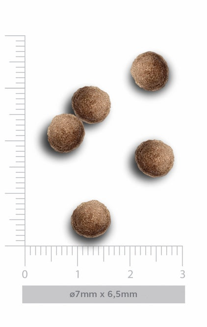 eadb87a94b47a3b73ee666d639e1dfe6