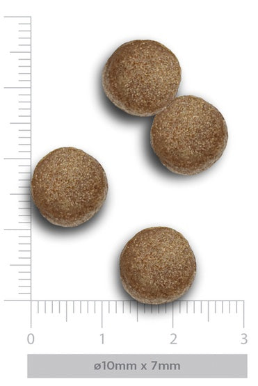 958d4e10687667145936a291dd2c5b77