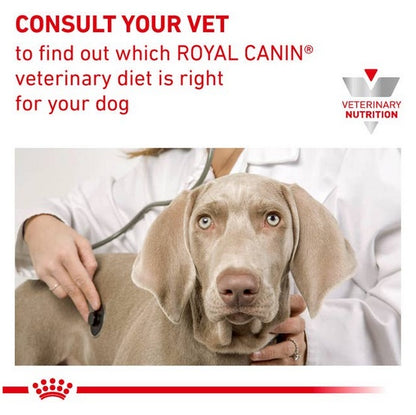 9090db38cc90e3c1a7eedfb0273b66a4