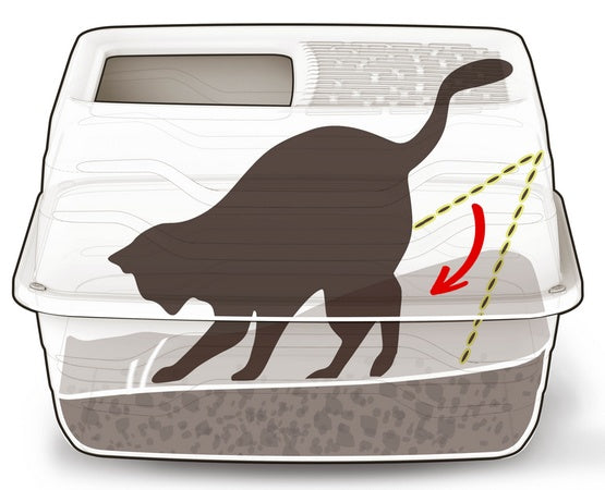 9e0c982e95a4165f36e04b59d364693c