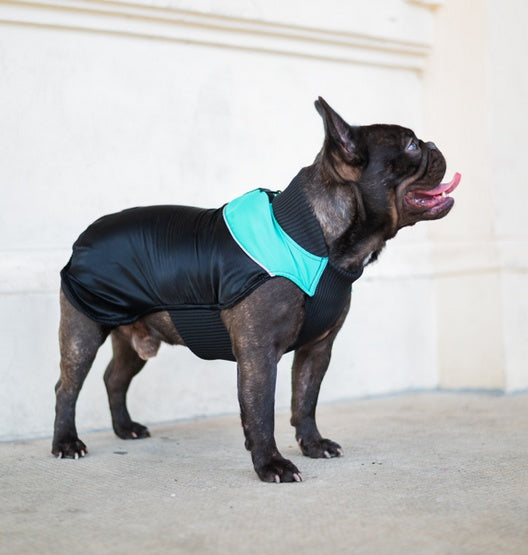 778b271316c8f945fd41fcc81aa478a7