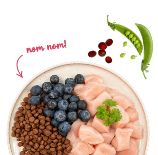 5bb3ca5418743026db8627d435859310